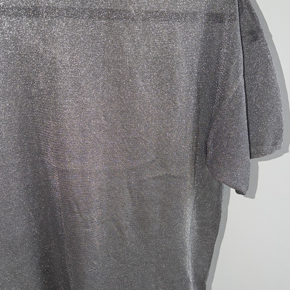 Zara shimmery Short Sleeve Tee